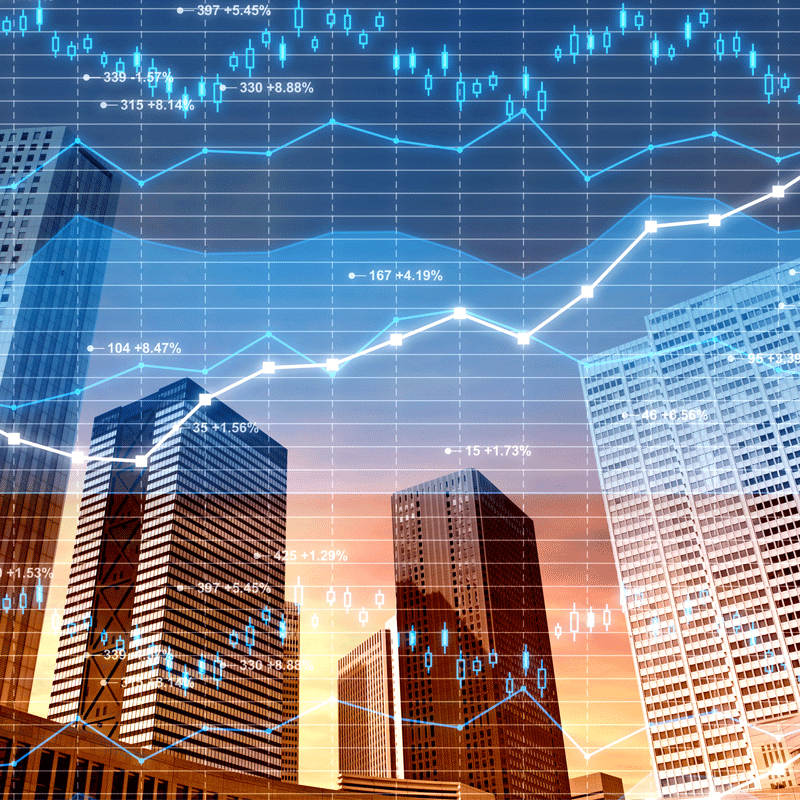 Shareholder & Securities